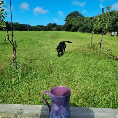 Luxury 5-star Cornish Barn - Pets Very Welcome Holiday home